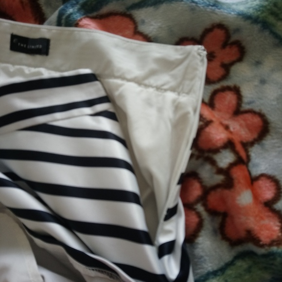 The limited striped skirt - Picture 5 of 6